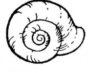 Coloriage et dessins gratuit Coquille d'Escargot à imprimer