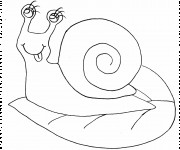 Coloriage Escargot avec des beaux yeux