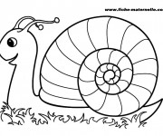 Coloriage Escargot couleur