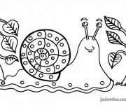 Coloriage Escargot dans la nature mandala