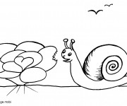 Coloriage Escargot en train de manger