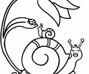 Coloriage Escargot et Coccinelle