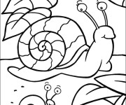 Coloriage Escargot et son bébé