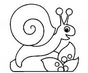 Coloriage Escargot facile pour enfant