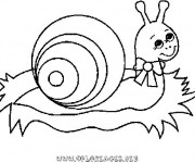 Coloriage Escargot magnifique