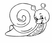 Coloriage Escargot sympathique