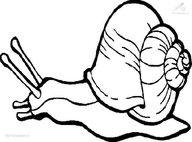 Coloriage Escargot gratuit à imprimer
