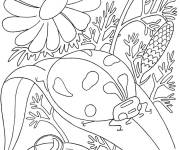Coloriage et dessins gratuit Coccinelle s'amuse sous les rayons de soleil d'&eacute;t&eacute; à imprimer