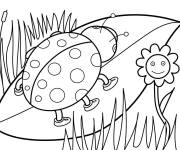 Coloriage et dessins gratuit Coccinelle sur feuille à imprimer