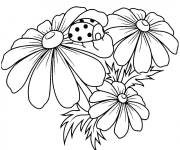 Coloriage et dessins gratuit Coccinelle sur fleurs saison d'&eacute;t&eacute; à imprimer