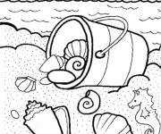 Coloriage et dessins gratuit Coquillages sur la plage à imprimer