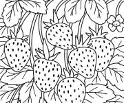 Coloriage La fraise pendant l&rsquo;&eacute;t&eacute;