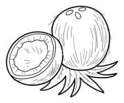 Coloriage Noix de coco sur les iles tropicaux