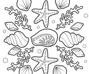Coloriage Collection de coquillages et d'&eacute;toile de mer
