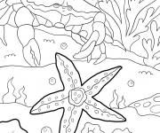 Coloriage Crabe s'approche d'une &eacute;toile de mer