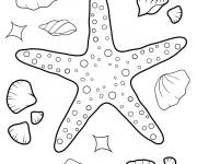 Coloriage Des coquillages qui entoure une &eacute;toile de mer