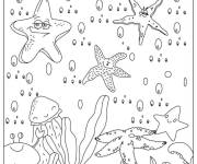 Coloriage Des diff&eacute;rentes &eacute;toiles de mer