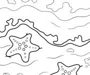 Coloriage Des &eacute;toiles de mer sur le sable