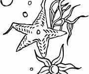 Coloriage et dessins gratuit Deux &eacute;toiles de mer à imprimer