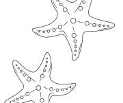 Coloriage Deux &eacute;toiles de mer stylis&eacute;