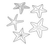 Coloriage Diff&eacute;rentes &eacute;toiles de mer