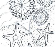 Coloriage &eacute;toile de mer au fond des oc&eacute;ans