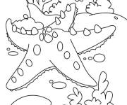 Coloriage &eacute;toile de mer barbel&eacute;e