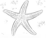 Coloriage et dessins gratuit &Eacute;toile de mer de l'oc&eacute;an à imprimer