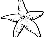Coloriage et dessins gratuit &eacute;toile de mer du monde sous-marin à imprimer