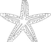 Coloriage et dessins gratuit &eacute;toile de mer en ligne à imprimer