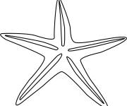 Coloriage et dessins gratuit &eacute;toile de mer facile à imprimer