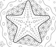 Coloriage &Eacute;toile de mer mandala complexe