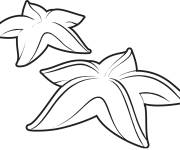Coloriage &Eacute;toile de mer maternelle
