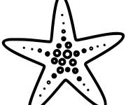 Coloriage et dessins gratuit &eacute;toile de mer simple à imprimer