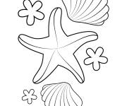 Coloriage &Eacute;toiles de mer et coquillages &agrave; colorier