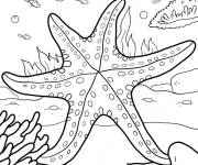 Coloriage Grosse &eacute;toile de mer sous la mer
