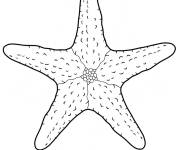 Coloriage Illustration d'&Eacute;toile de mer simple