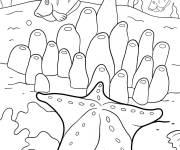 Coloriage La vie marine ou nous trouvons des &eacute;toiles de mer et des poissons
