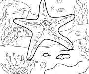 Coloriage Sc&egrave;ne d'&eacute;toile de mer avec les cr&eacute;atures marines