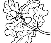 Coloriage Arbre ch&ecirc;ne feuilles automne
