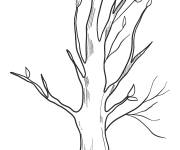 Coloriage Arbre d'automne sans aucune feuille