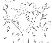 Coloriage Arbre qui perde ses feuilles