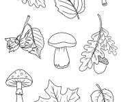 Coloriage Champignons, feuilles, gland d'automne
