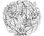 Coloriage Collection de feuilles en mandala