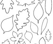 Coloriage Collections des jolis feuilles d&rsquo;automne