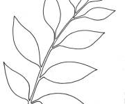 Coloriage et dessins gratuit Colories les feuilles de l'automne à imprimer