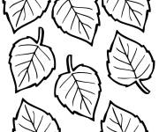 Coloriage Des feuilles automne H&ecirc;tre