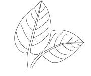 Coloriage Deux feuilles d'automne identiques sans couleurs