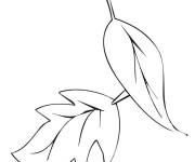 Coloriage et dessins gratuit deux feuilles pour les enfants à imprimer