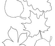 Coloriage et dessins gratuit Diff&eacute;rentes feuilles d&rsquo;automne sans motifs à imprimer